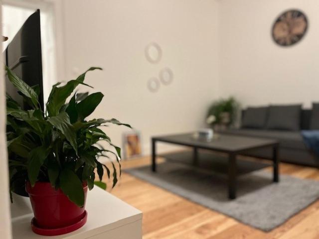 Ferienwohnung Cosy Rent-Strasbourg Gare 1-Wifi Exterior foto