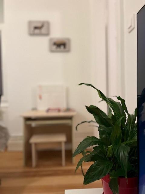 Ferienwohnung Cosy Rent-Strasbourg Gare 1-Wifi Exterior foto